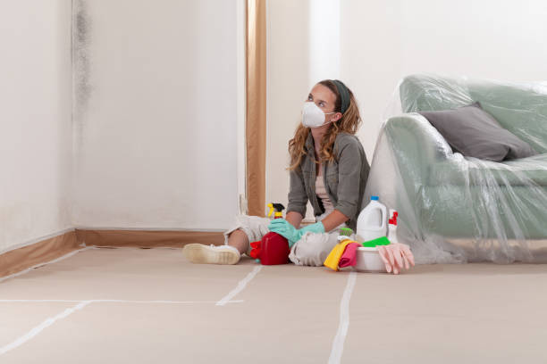 Reliable Mold Remediation contractor in Westmont, IL by WQB Mold Removal